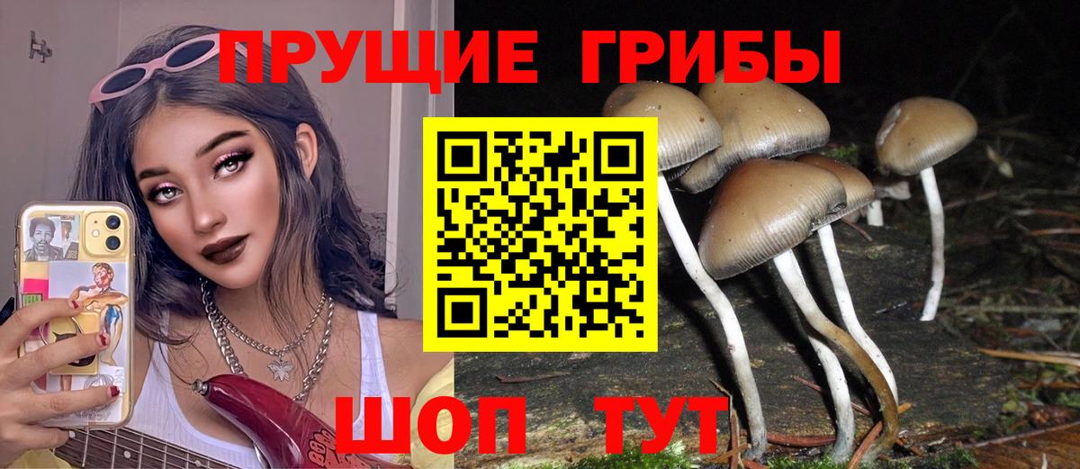 Фролово  Псилоцибиновые грибы GOLDEN TEACHER  Вход с VPN 